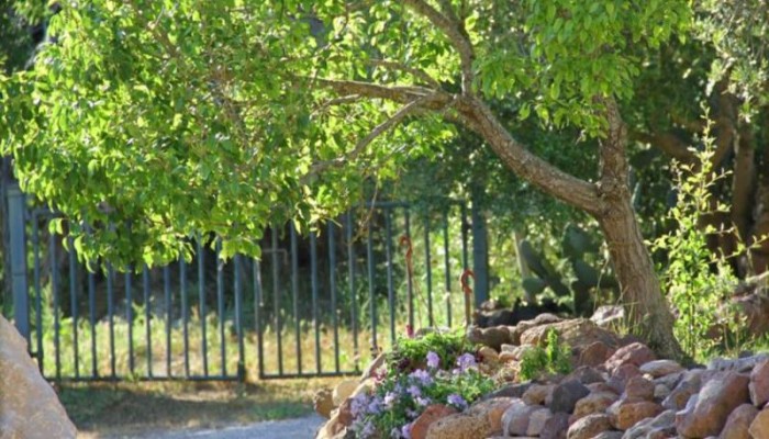 Alghero Resort Country Hotel poza 5