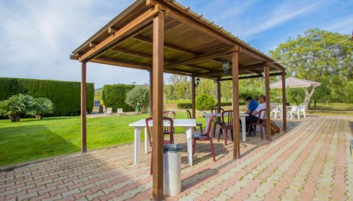 Hotel B&b Bonsai poza 13