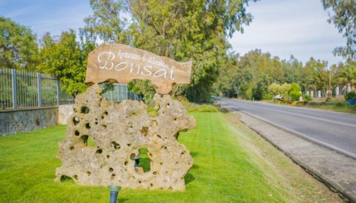 Hotel B&b Bonsai poza 1