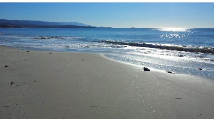 Hotel B&b Jamba poza 16