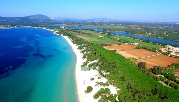 Poza pentru Hotel Oasis 355-1479305707 Hotel Oasis poza 0