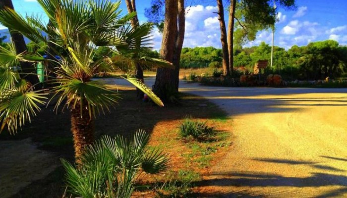 Hotel Villaggio Nurral - Campground poza 12