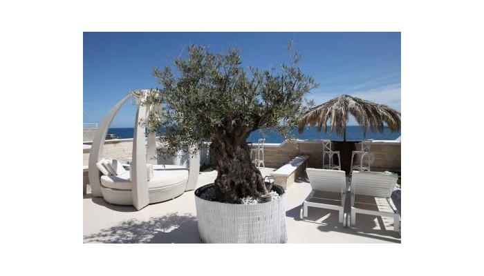 Hotel Bellavista Suite poza 22