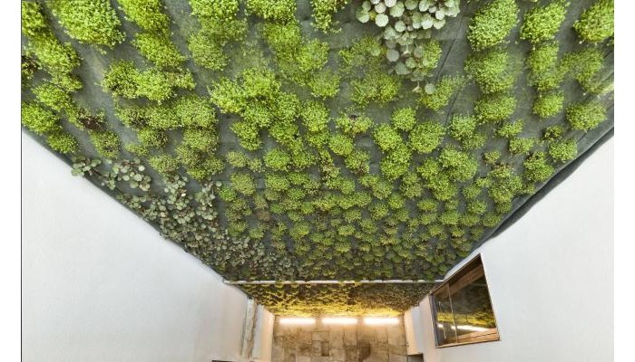 Hotel Palazzo Calò poza 0