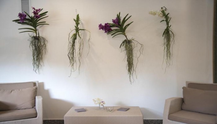 Hotel Riva Del Sole poza 13