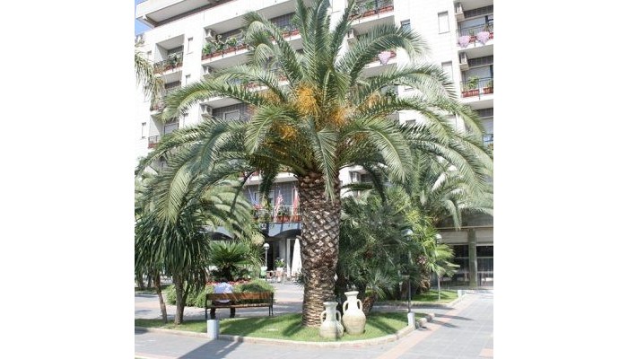 Hotel Rondo poza 1