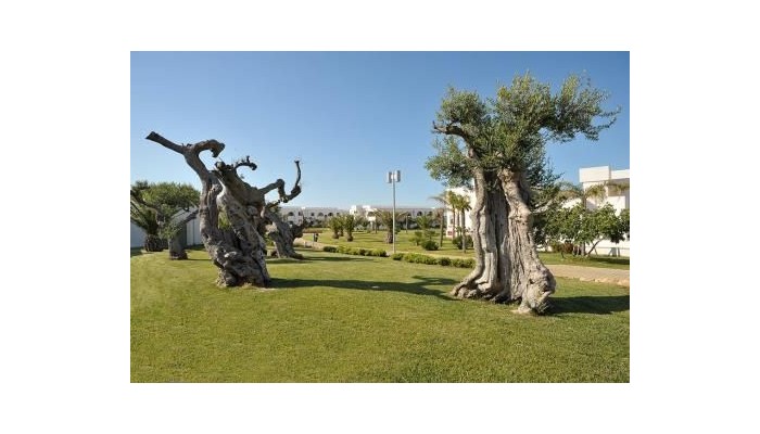 Pietrablu Resort - Spa poza 37