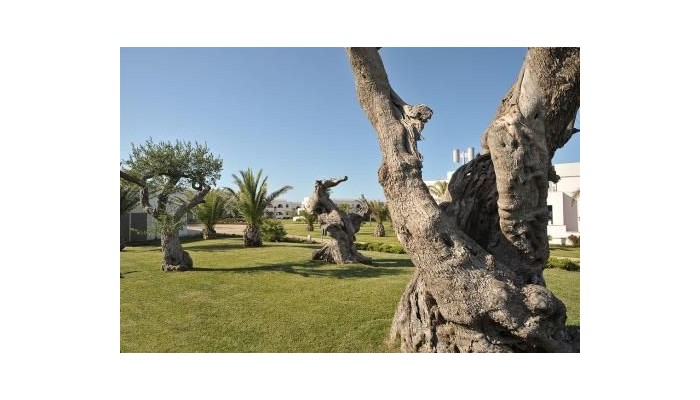 Pietrablu Resort - Spa poza 29