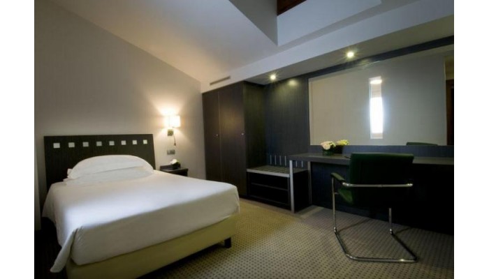 Arli Hotel Business And Wellness poza 27