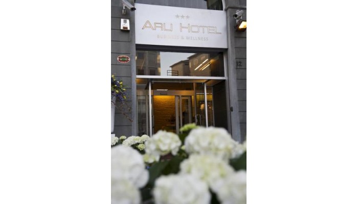 Arli Hotel Business And Wellness poza 2