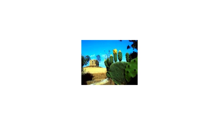 Poza pentru Hotel Carousel Sicily Tour 331-1459989149 Hotel Carousel Sicily Tour poza 3