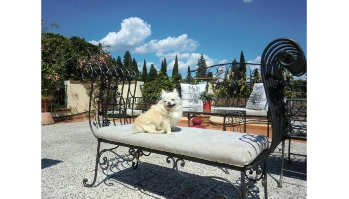 Hotel Argentiere Appartamenti poza 4