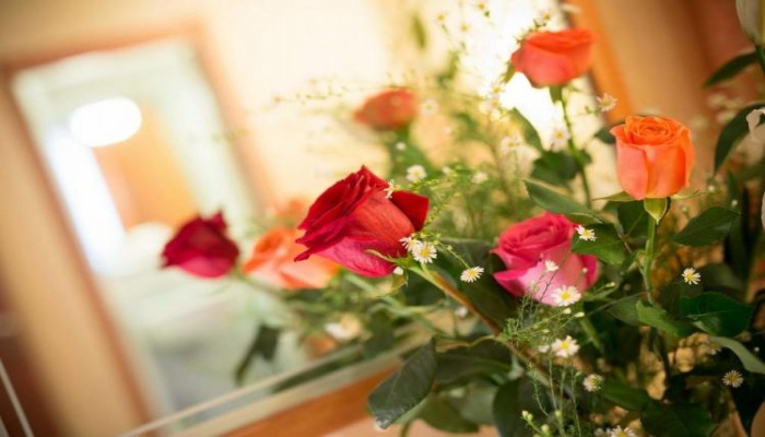 Hotel Montreal poza 16