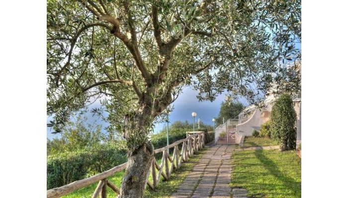 Gocce Di Capri Hotel And Residence poza 2