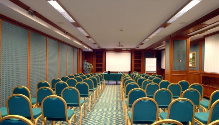 Hotel Domenichino poza 12