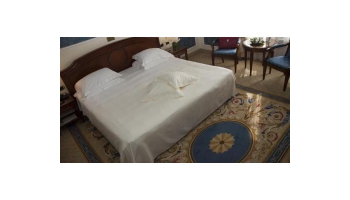 Hotel Grand Visconti Palace poza 17