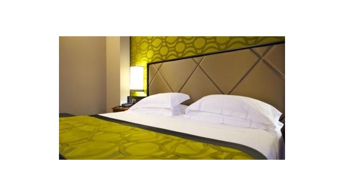 Hotel Grand Visconti Palace poza 19