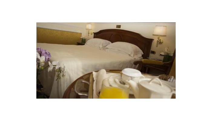 Hotel Grand Visconti Palace poza 8