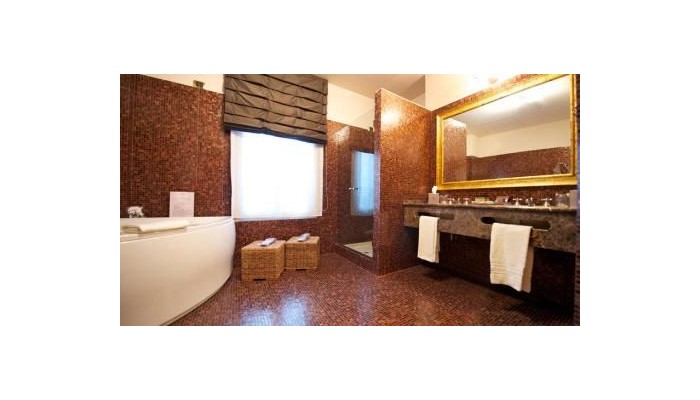 Hotel Grand Visconti Palace poza 28