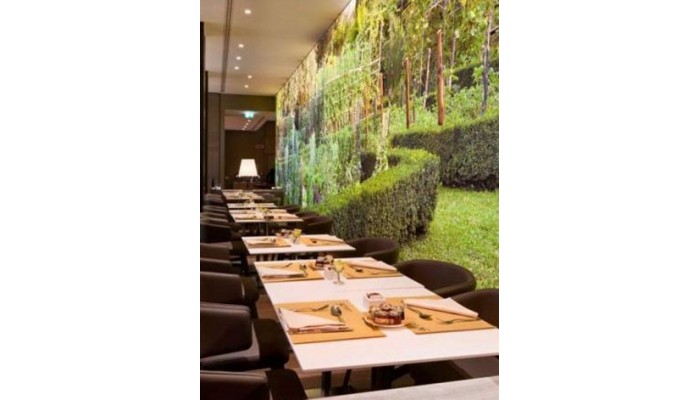 Starhotels Echo poza 3