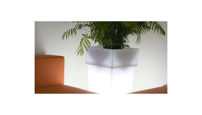 Correra 241 Lifestyle Hotel poza 29