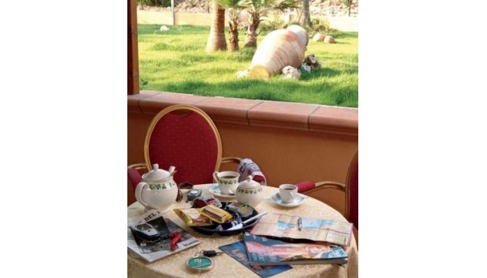 Green Park Hotel poza 9