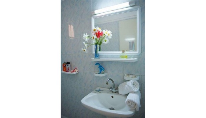 Green Park Hotel poza 5