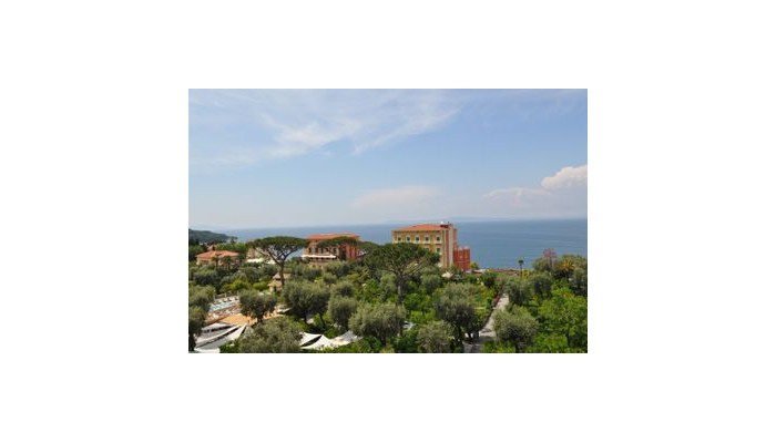 Hotel Carlton International poza 7
