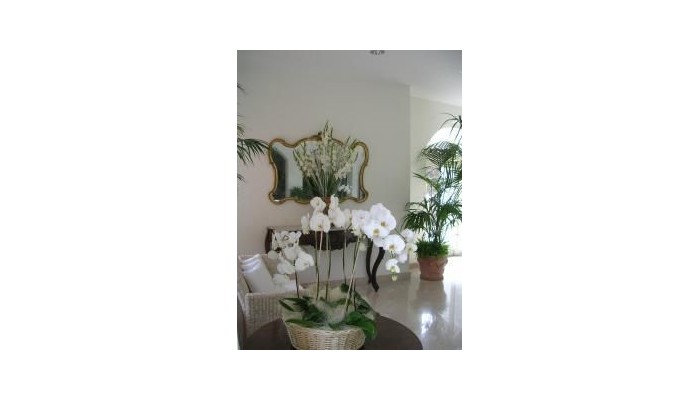 Hotel Dei Congressi poza 13