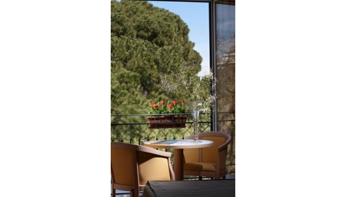 Poza pentru Giardino Inglese Hotel 227-1491389308 Giardino Inglese Hotel poza 23