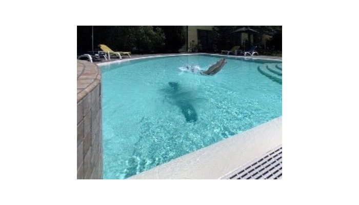 Hotel Parma And Congressi poza 6