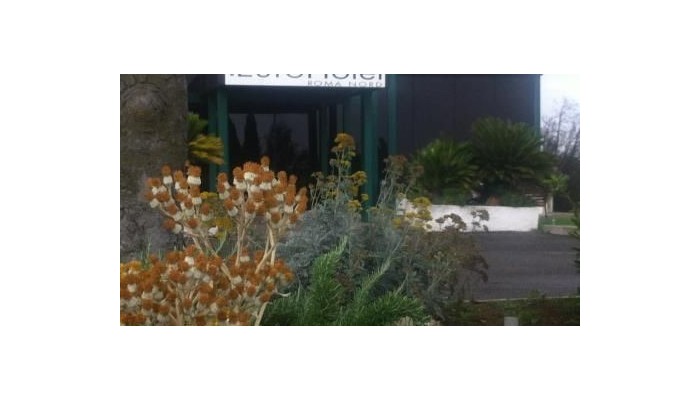 Euro Hotel Roma Nord poza 17