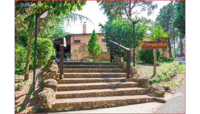 Happy Village poza 7