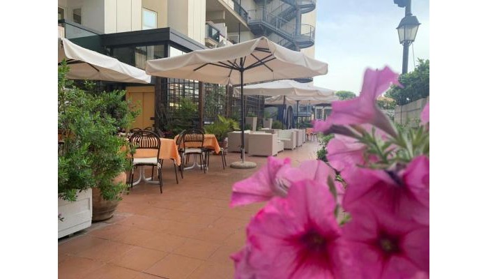 Hotel Pineta Palace poza 11