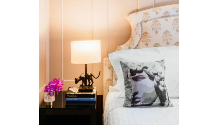 Singer Palace Hotel poza 0