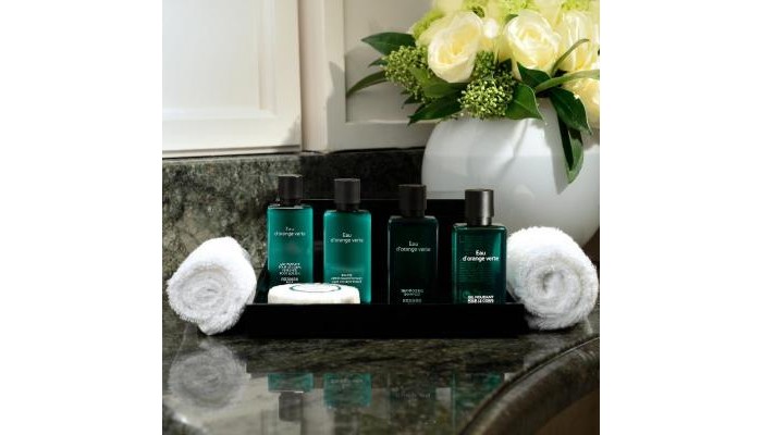 Sofitel Rome Villa Borghese Hotel poza 4