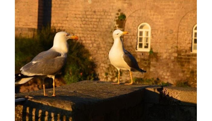 Hotel Cristina poza 7