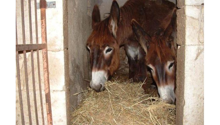 Hotel Casato Licitra poza 5