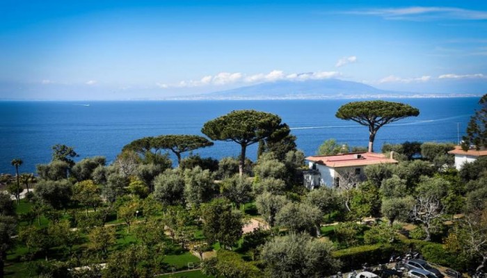 Hotel Carlton International poza 27