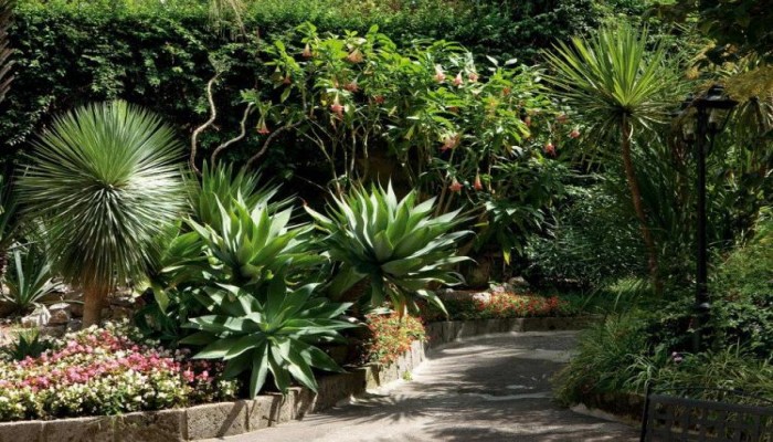 Hotel Imperial Tramontano poza 5