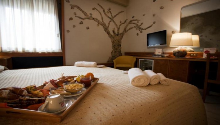 Poza pentru Diplomatic Hotel 977-1504192661 Diplomatic Hotel poza 6