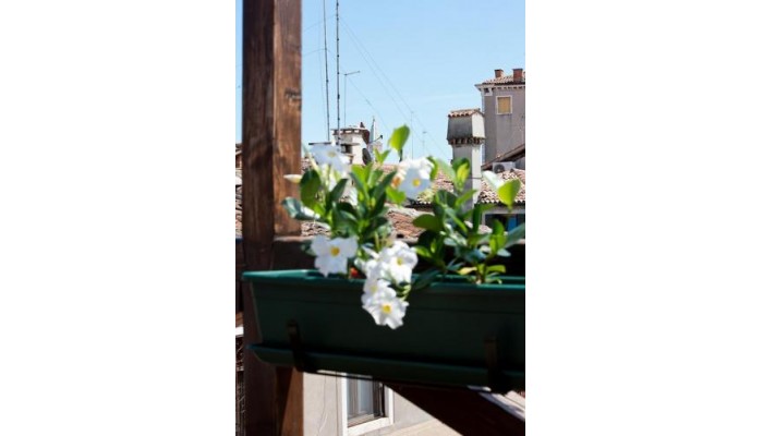 Hotel Ca San Polo poza 30