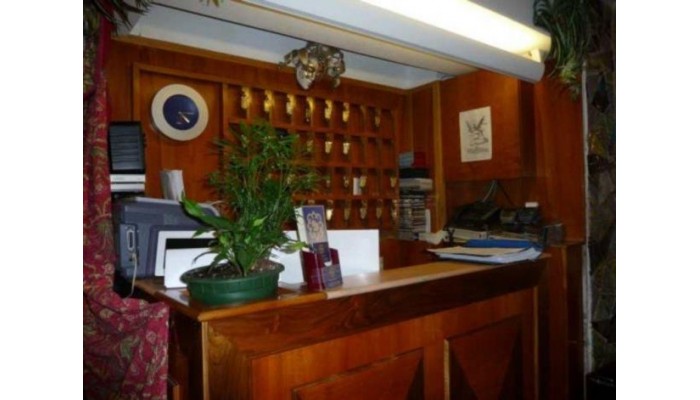 Hotel Minerva E Nettuno poza 3